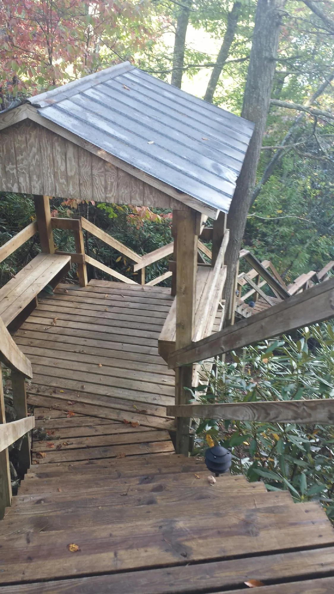 Metal roofed shelter over wooden steps on a wooded walkway — Skylight Repair & Installation work by our crew in Tampico