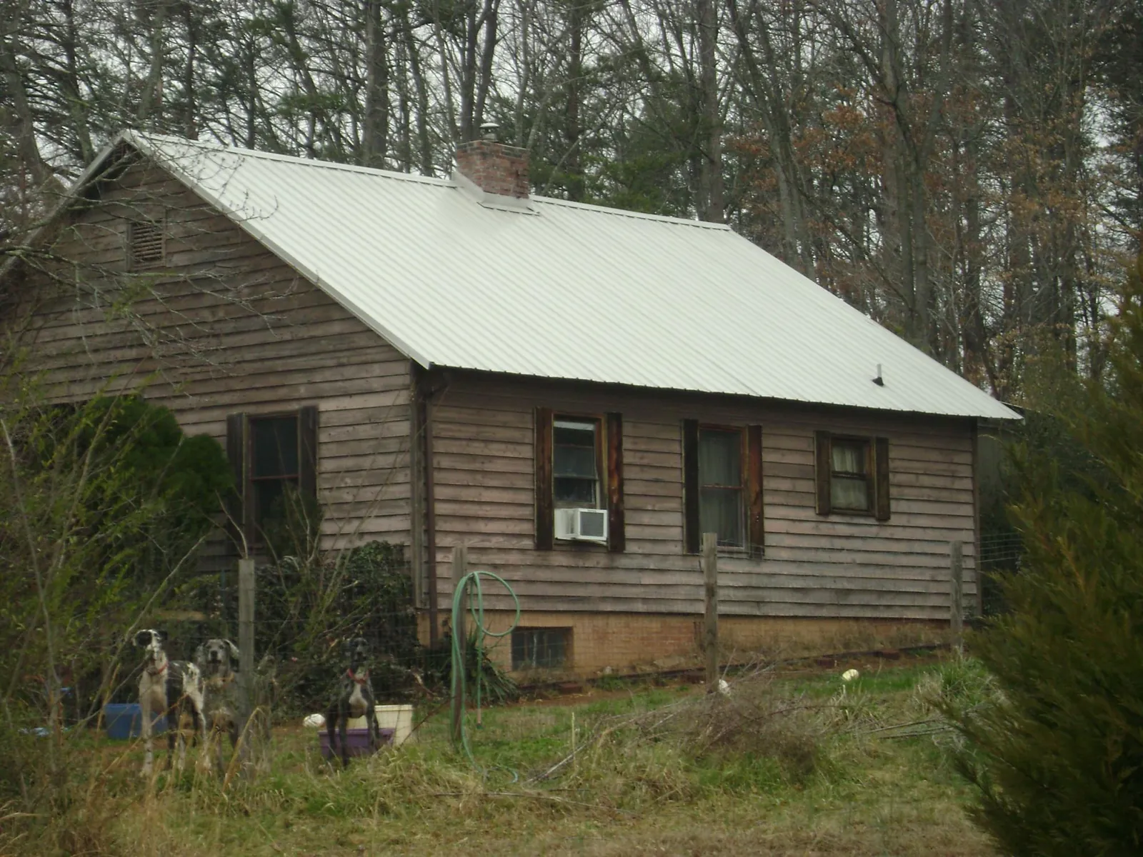 White metal roof on an old wood sided farmhouse, from a Asphalt Shingle Roof Repair job in Tampico